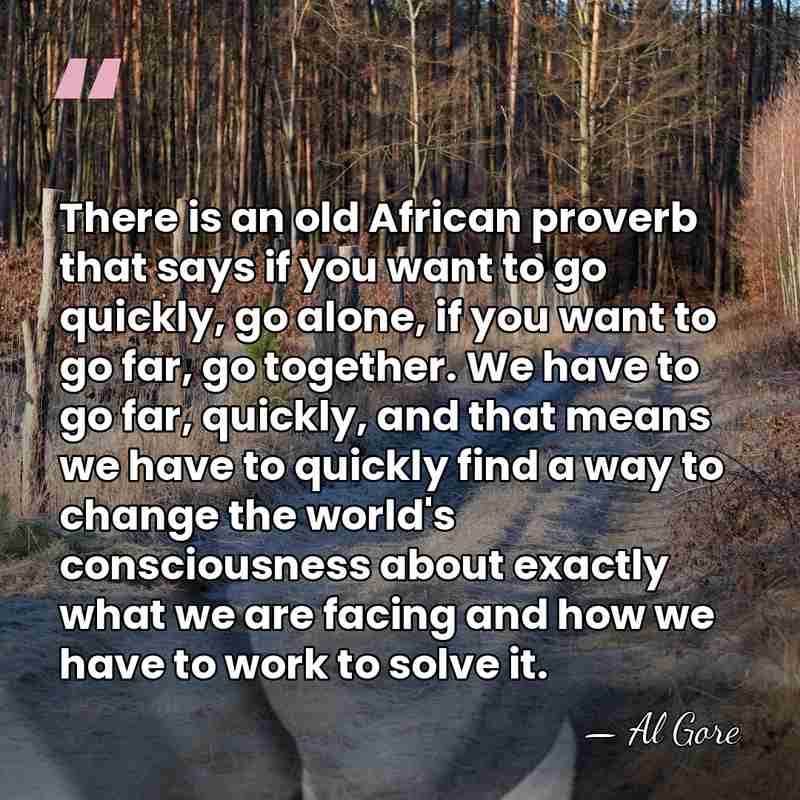 There is an old African proverb that says if you want to&hellip; - Al Gore