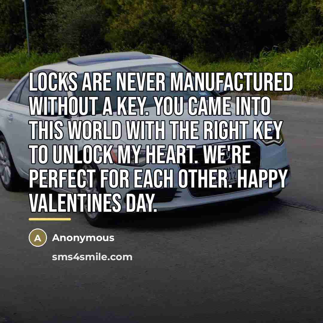 “Locks are never manufactured without a key. You came into…” quote by Anonymous