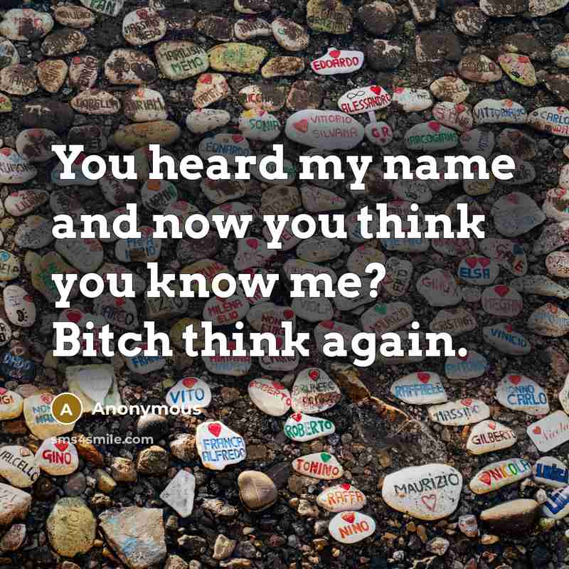 “You heard my name and now you think you know me? Bitch think again.” quote by Anonymous
