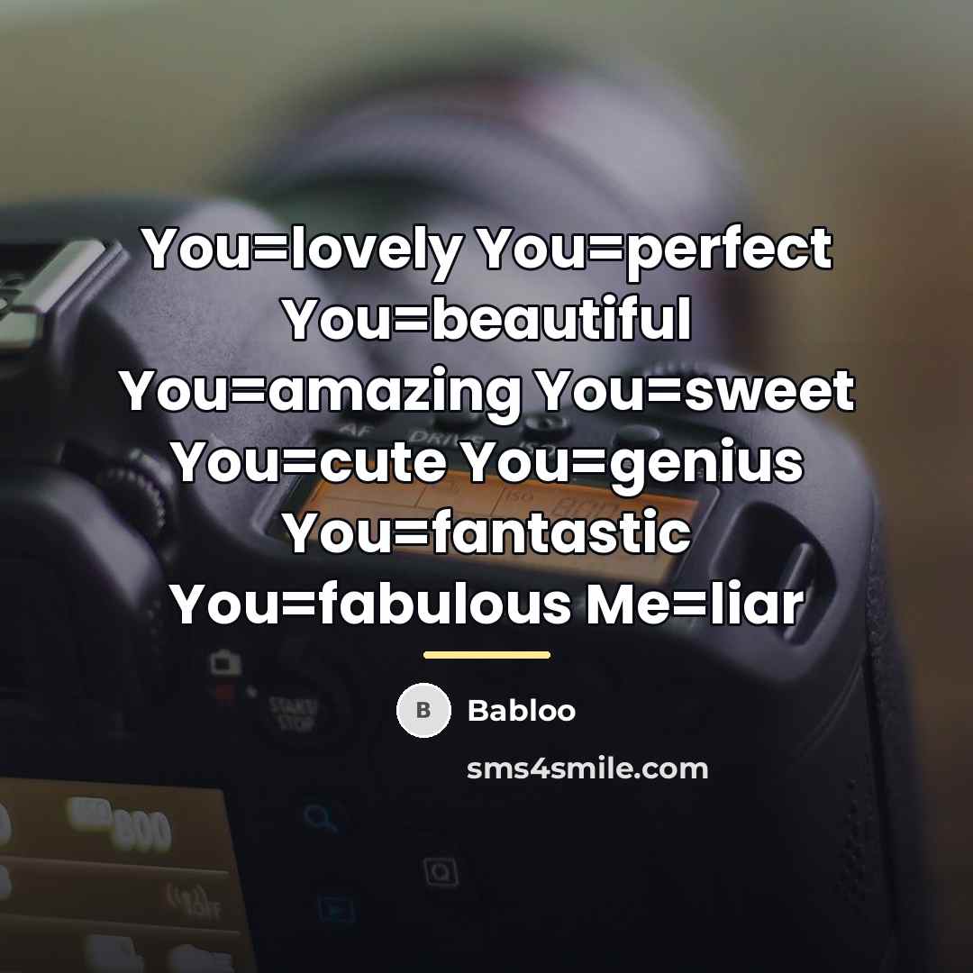 “You=lovely You=perfect You=beautiful You=amazing You=sweet You=cute You=genius You=fantastic You=fabulous Me=liar…” quote by Babloo