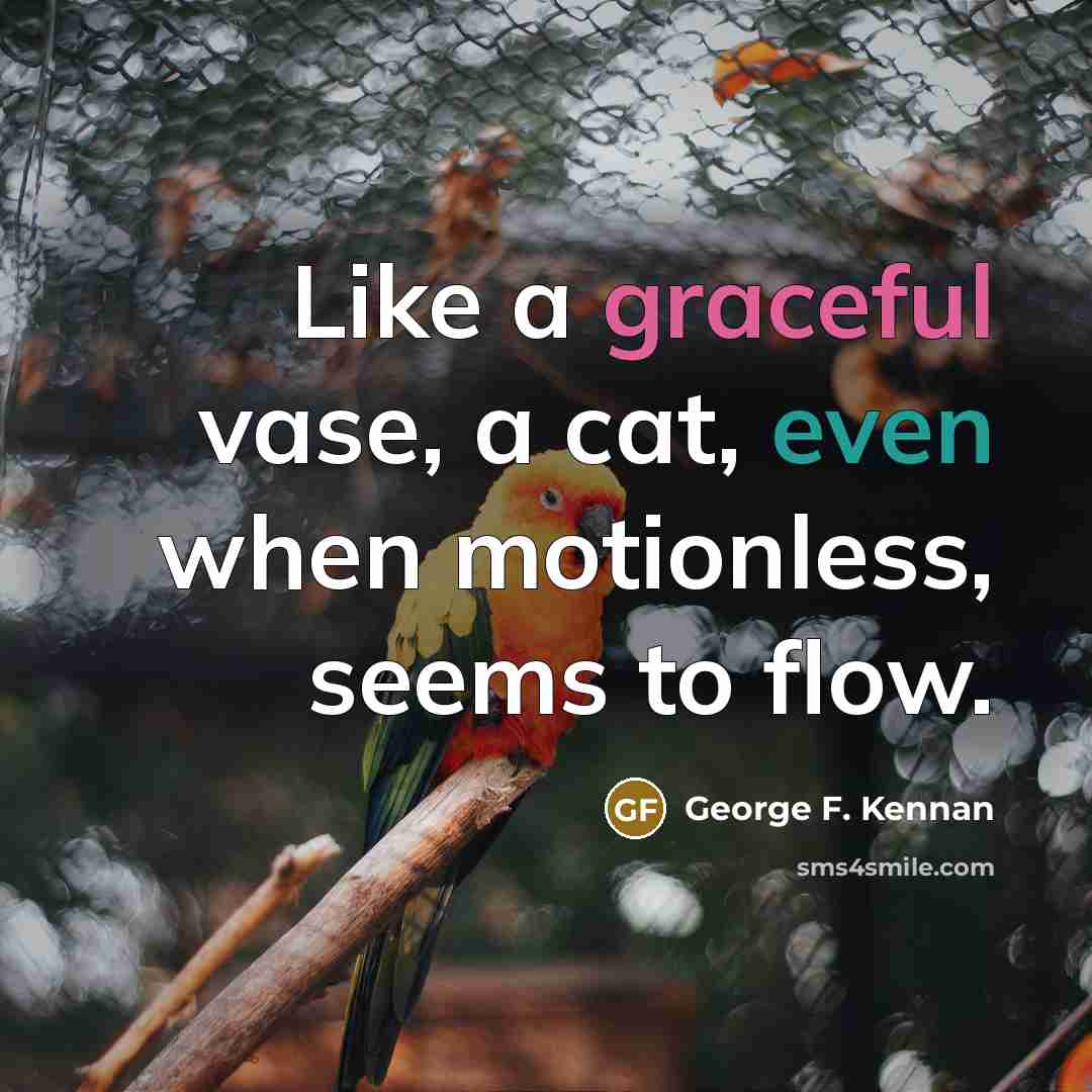 “Like a graceful vase, a cat, even when motionless, seems…” quote by George F. Kennan
