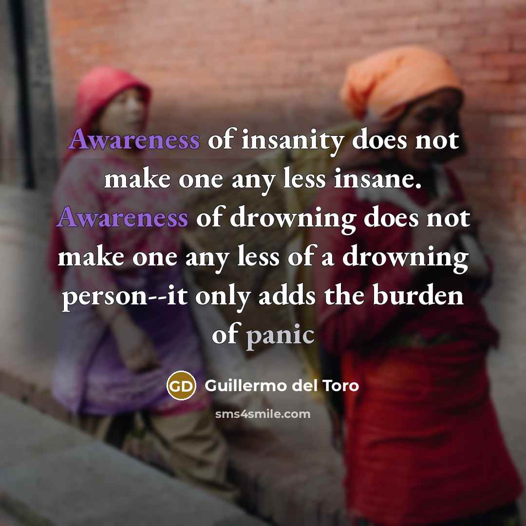 “Awareness of insanity does not make one any less insane.…” quote by Guillermo del Toro