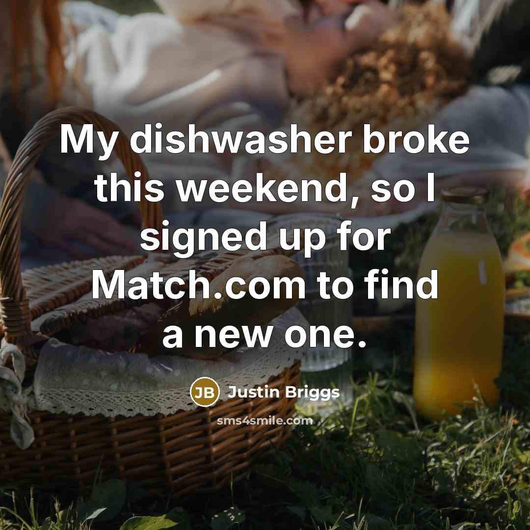 “My dishwasher broke this weekend, so I signed up for Match.com to find a new one.” quote by Justin Briggs