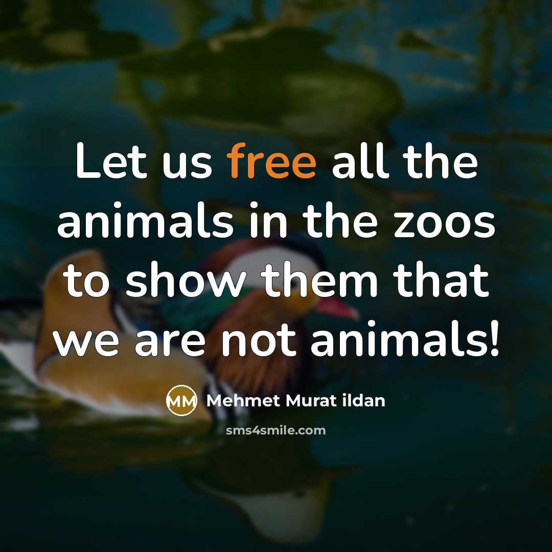 “Let us free all the animals in the zoos to…” quote by Mehmet Murat Ildan