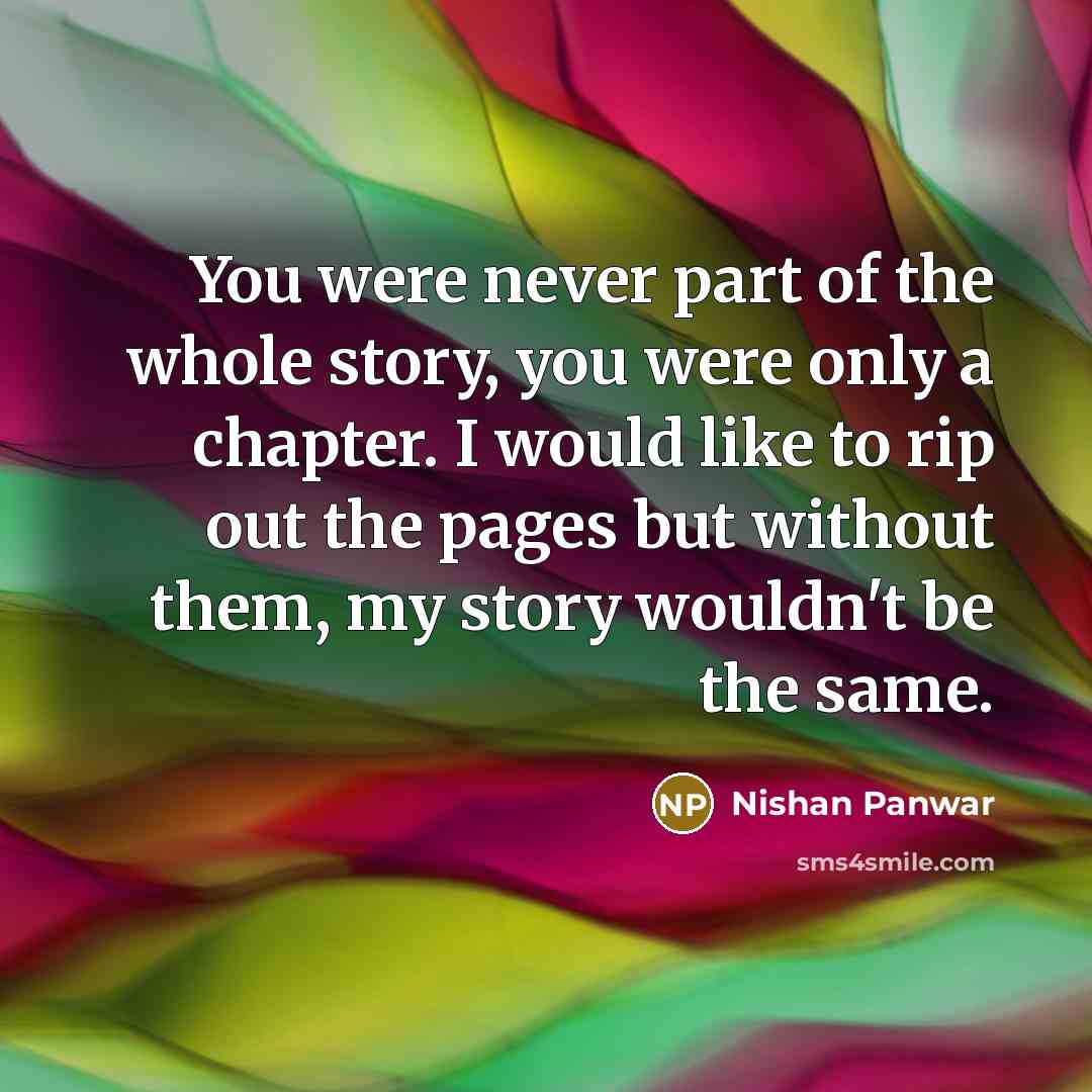 “You were never part of the whole story, you were…” quote by Nishan Panwar