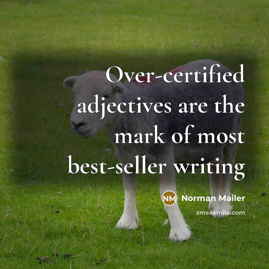 “Over-certified adjectives are the mark of most best-seller writing…” quote by Norman Mailer