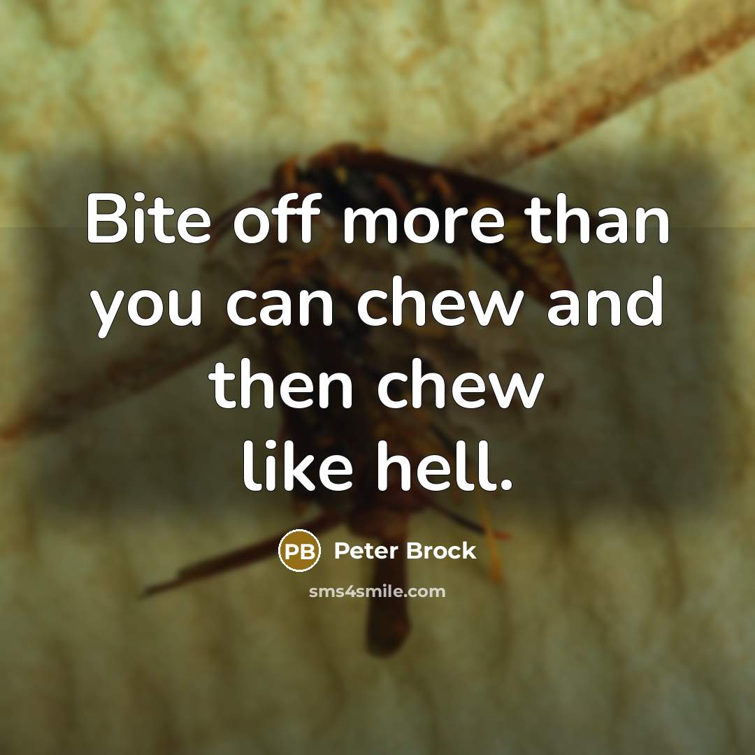“Bite off more than you can chew and then chew like hell.” quote by Peter Brock