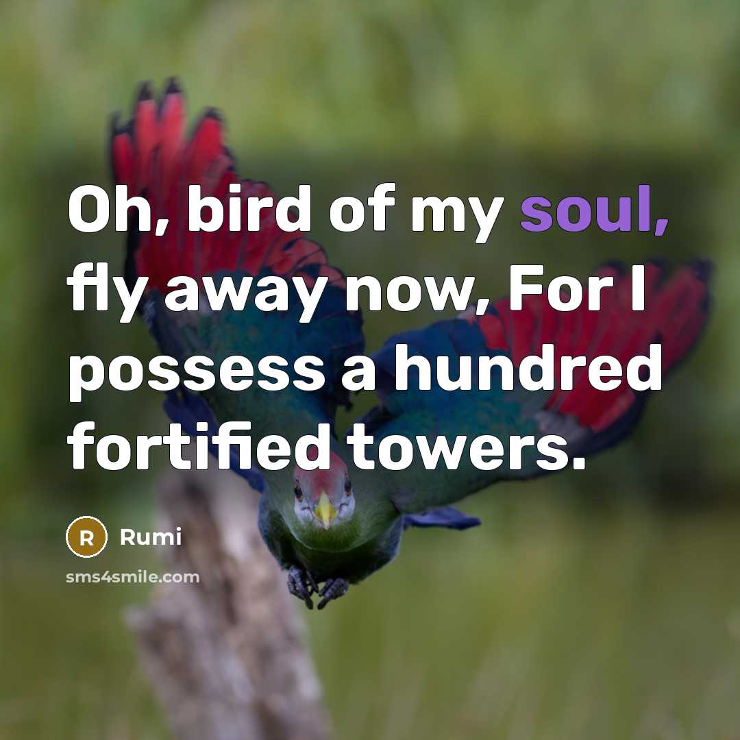 “Oh, bird of my soul, fly away now, For I…” quote by Rumi