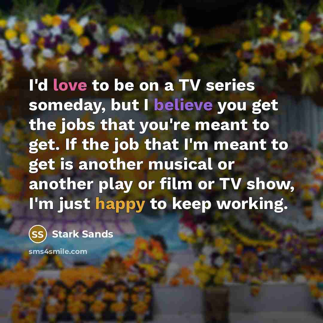 “I'd love to be on a TV series someday, but…” quote by Stark Sands
