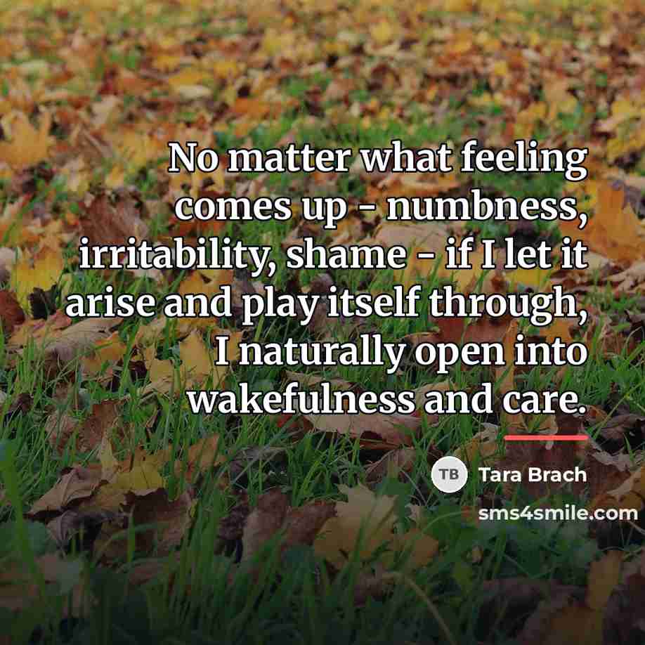 “No matter what feeling comes up - numbness, irritability, shame…” quote by Tara Brach