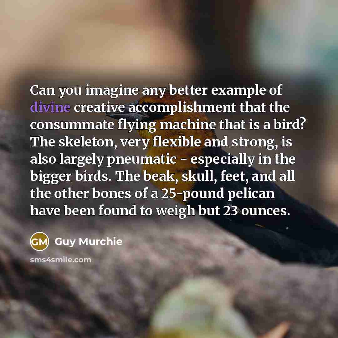 “Can you imagine any better example of divine creative accomplishment…” quote by Guy Murchie