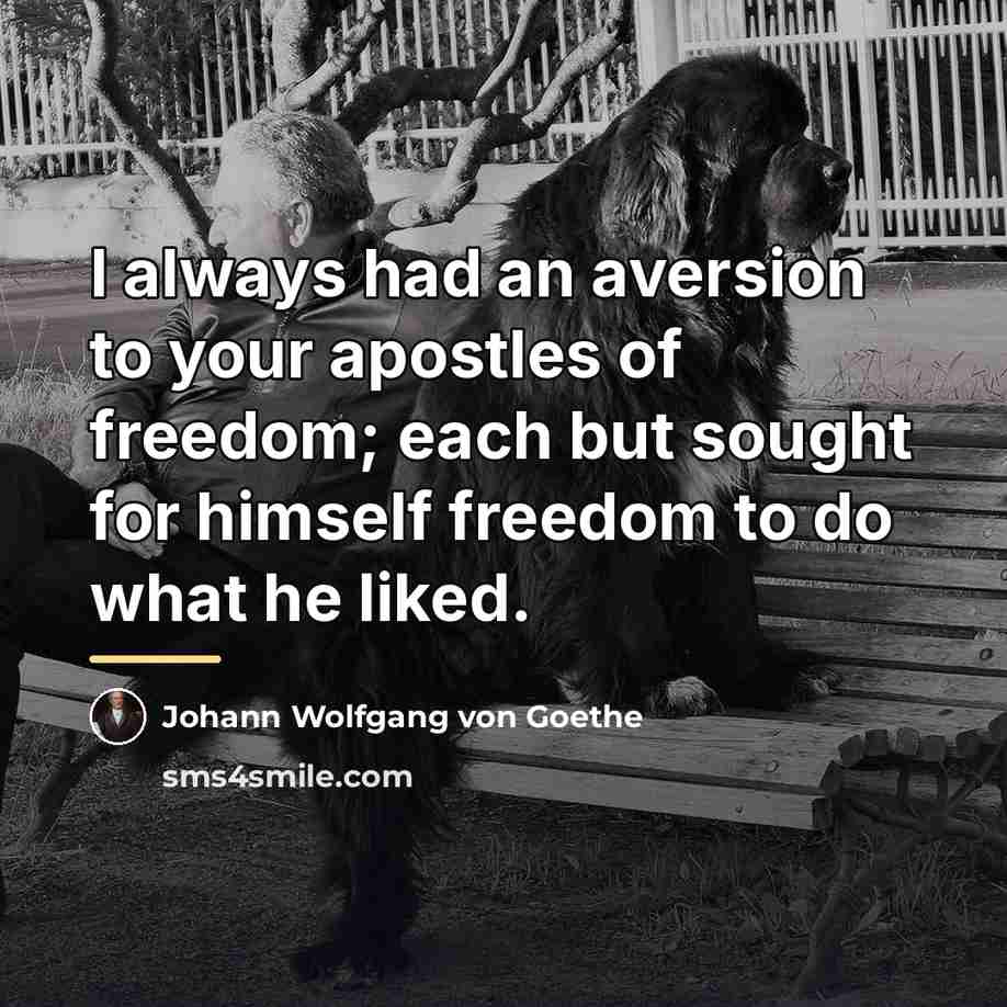“I always had an aversion to your apostles of freedom;…” quote by Johann Wolfgang von Goethe