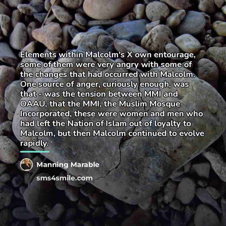 “Elements within Malcolm's X own entourage, some of them were…” quote by Manning Marable