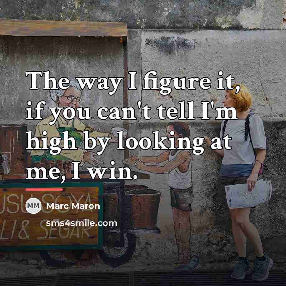 “The way I figure it, if you can't tell I'm…” quote by Marc Maron