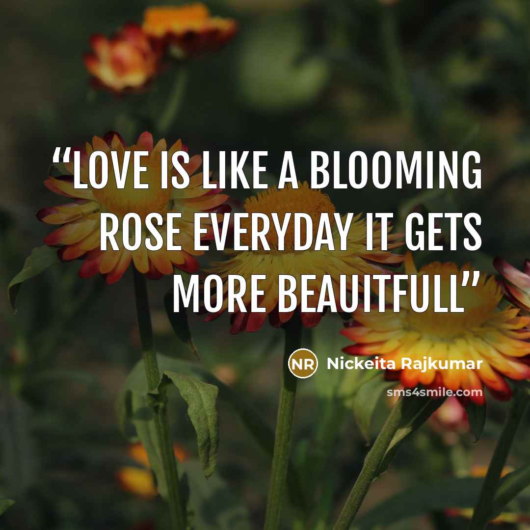 “love is like a blooming rose everyday it gets more Beauitfull” quote by Nickeita Rajkumar