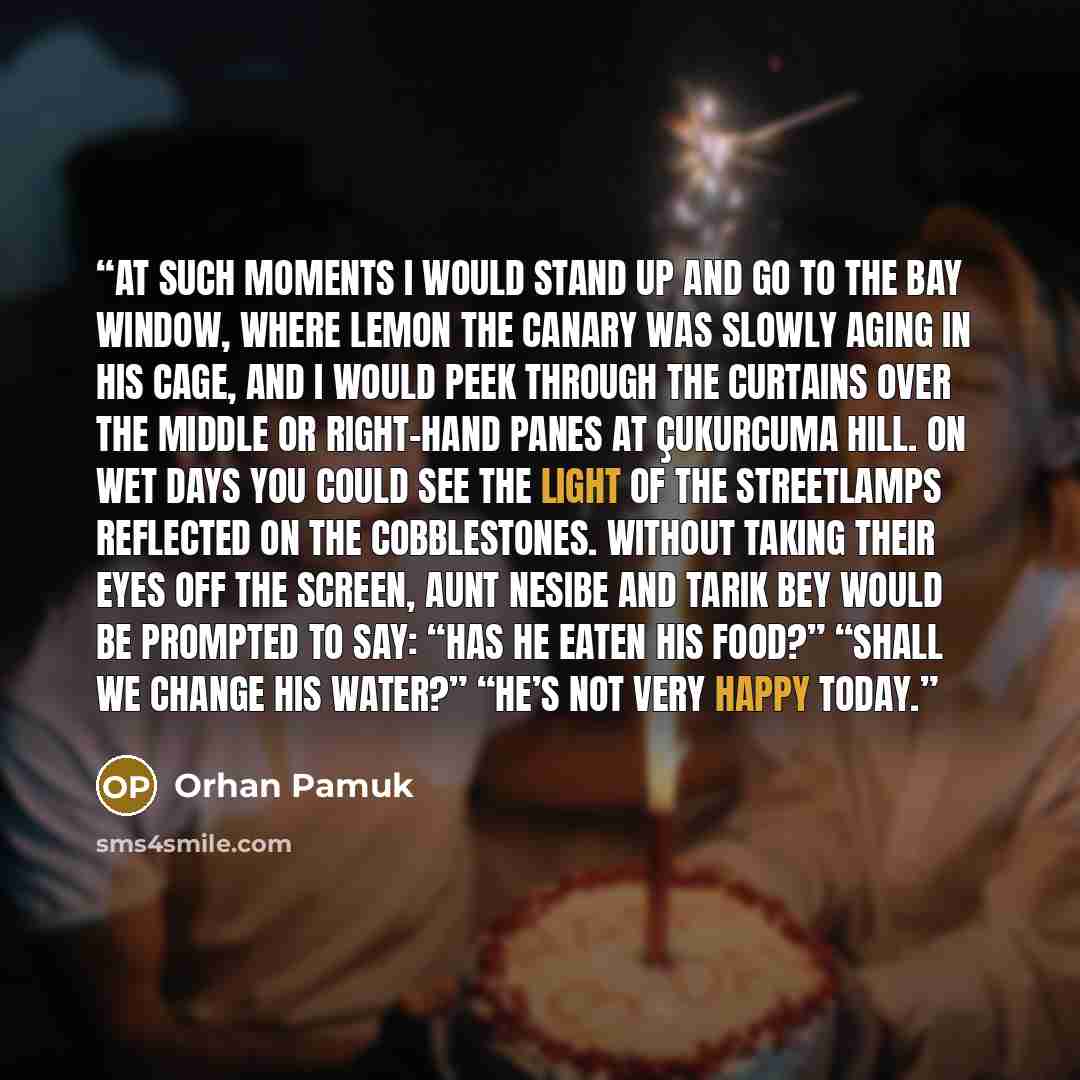 “At such moments I would stand up and go to the bay window, where Lemon the canary was slowly aging in his cage, and I would peek through the curtains over the middle or right-hand panes at Çukurcuma Hill. On wet days you could see the light of the streetlamps reflected on the cobblestones. Without…” quote by Orhan Pamuk