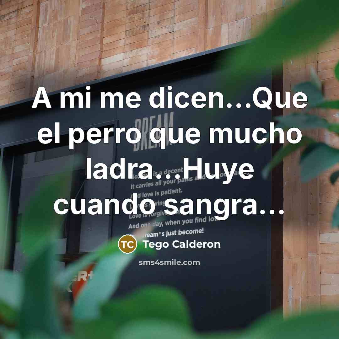 “A mi me dicen...Que el perro que mucho ladra...Huye cuando…” quote by Tego Calderon