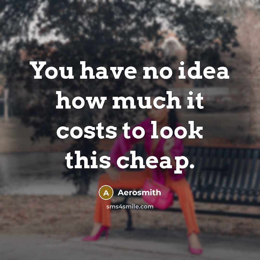 “You have no idea how much it costs to look this cheap.” quote by Aerosmith