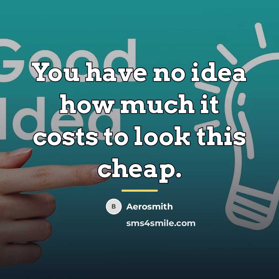 “You have no idea how much it costs to look…” quote by Aerosmith