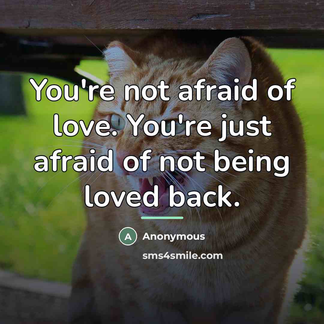“You're not afraid of love. You're just afraid of not…” quote by Anonymous