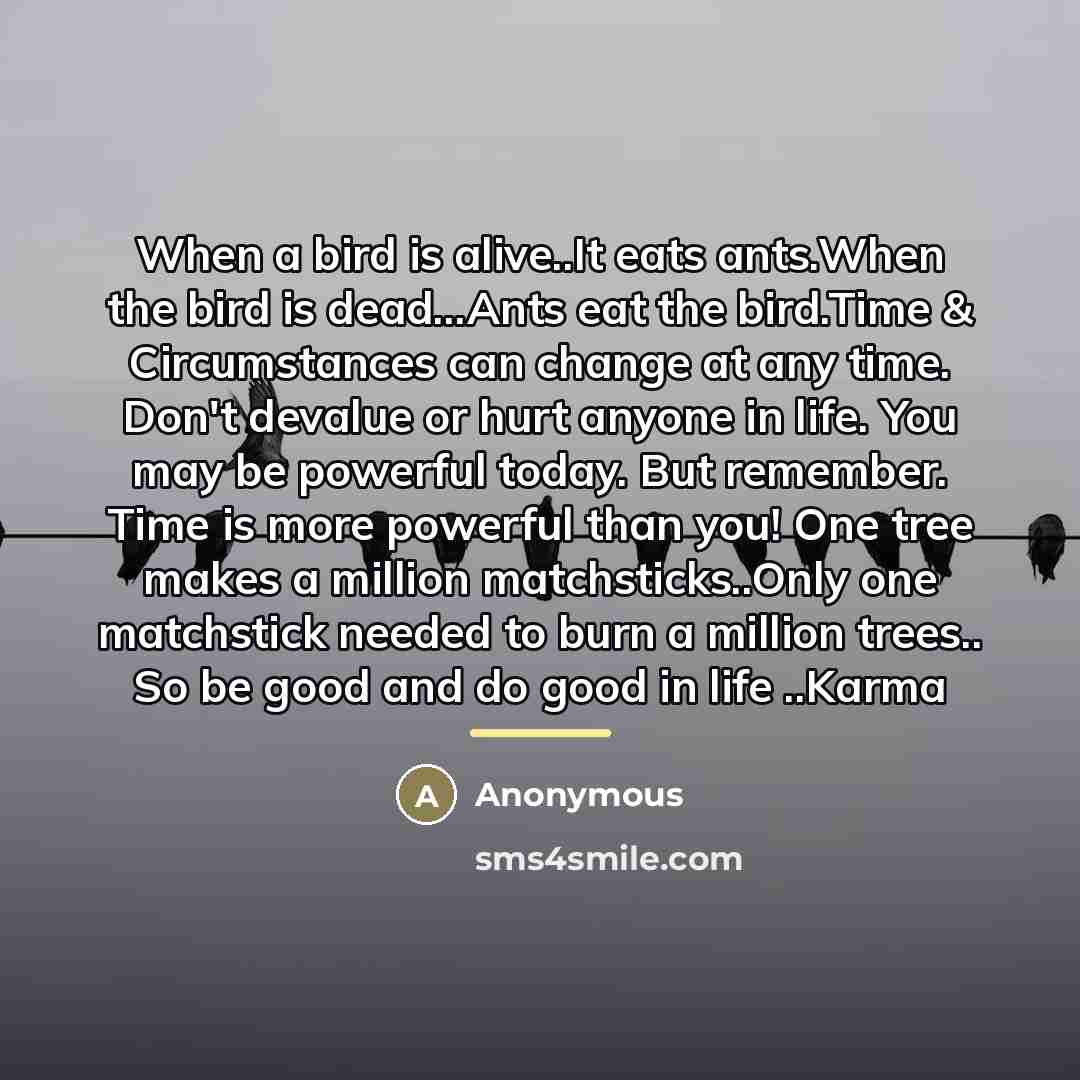 “When a bird is alive..It eats ants.When the bird is…” quote by Anonymous