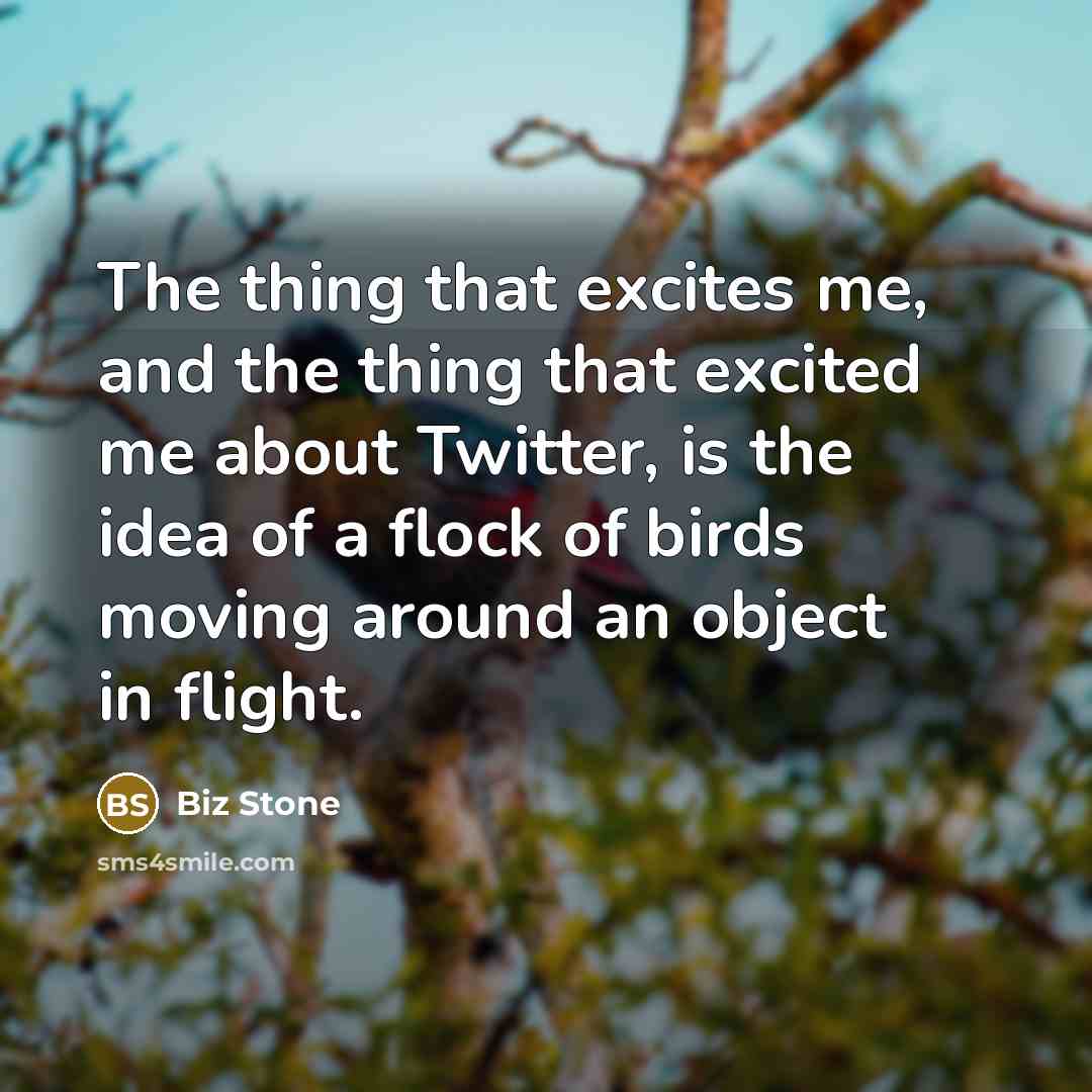 “The thing that excites me, and the thing that excited…” quote by Biz Stone