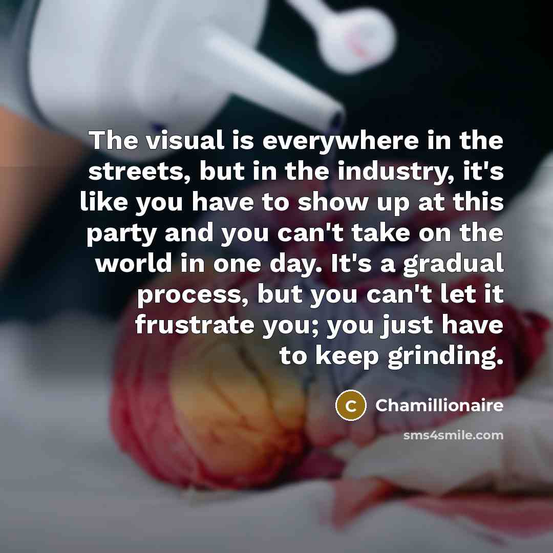 “The visual is everywhere in the streets, but in the industry, it's like you have to show up at this party and you can't take on the world in one day. It's a gradual process, but you can't let it frustrate you; you just have to keep grinding.” quote by Chamillionaire
