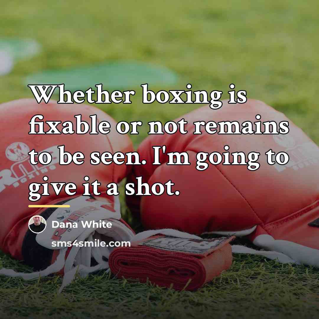 “Whether boxing is fixable or not remains to be seen.…” quote by Dana White