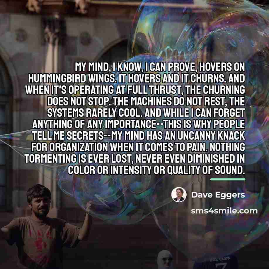 “My mind, I know, I can prove, hovers on hummingbird…” quote by Dave Eggers