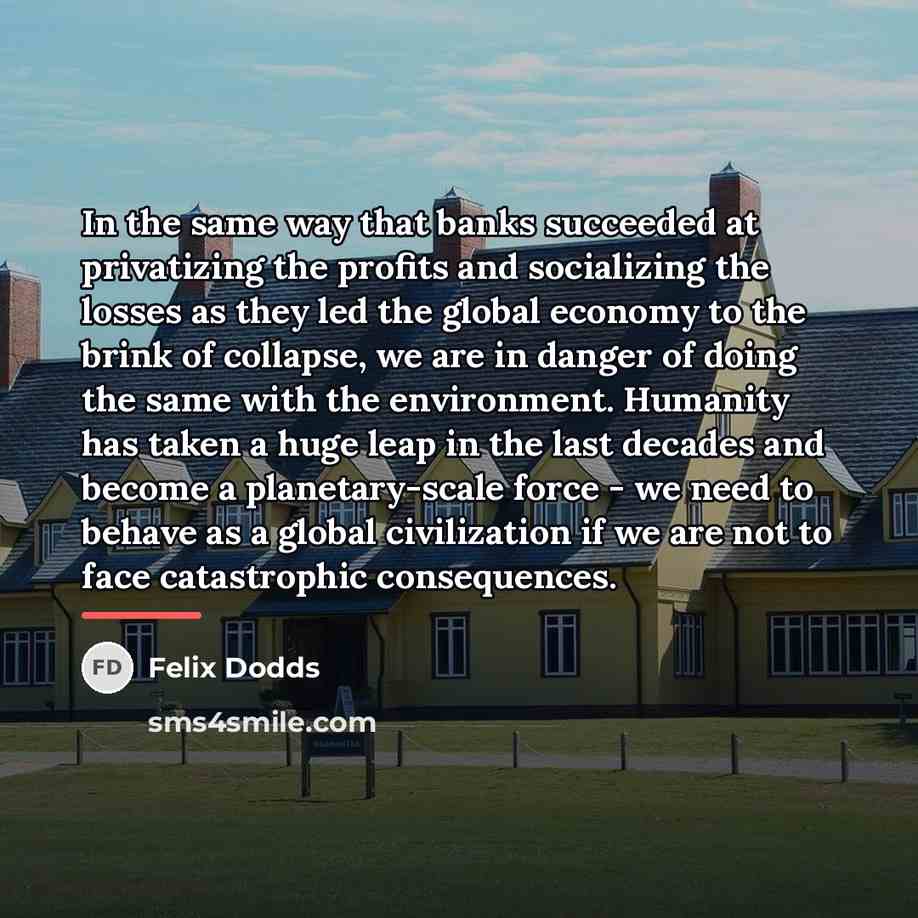 “In the same way that banks succeeded at privatizing the…” quote by Felix Dodds