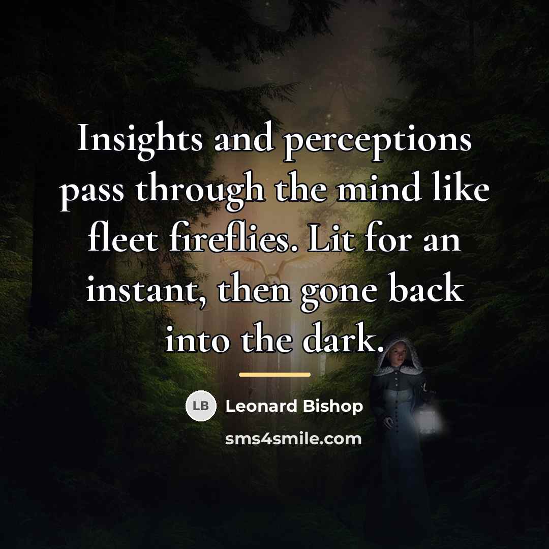 “Insights and perceptions pass through the mind like fleet fireflies.…” quote by Leonard Bishop