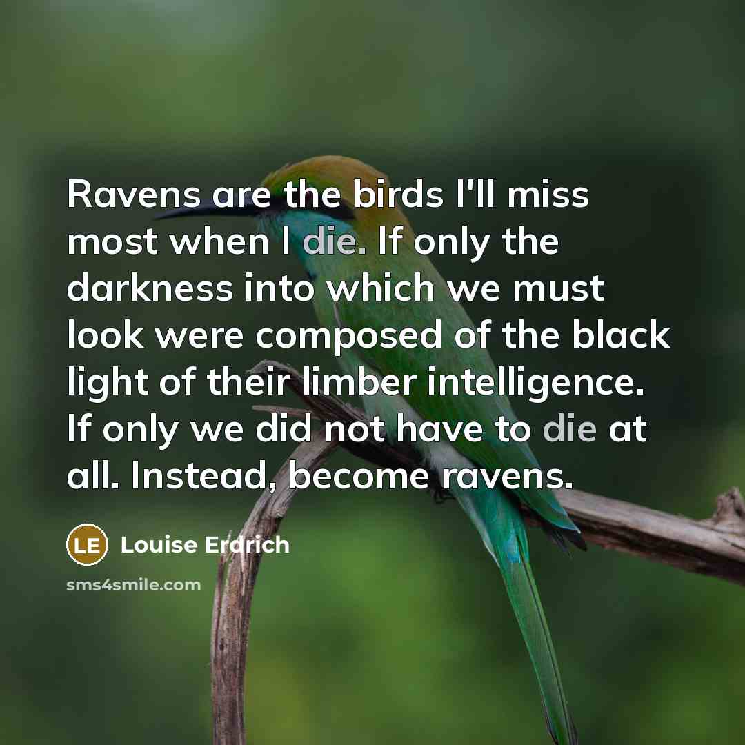 “Ravens are the birds I'll miss most when I die.…” quote by Louise Erdrich