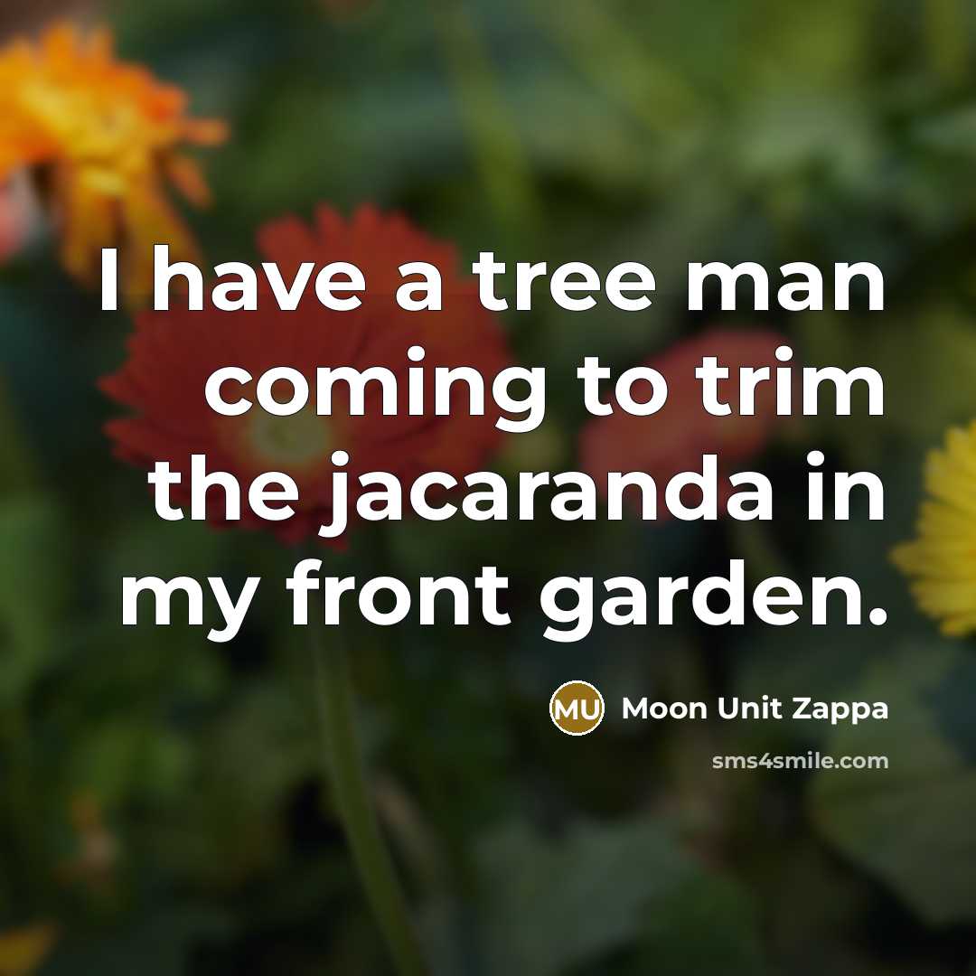 “I have a tree man coming to trim the jacaranda…” quote by Moon Unit Zappa