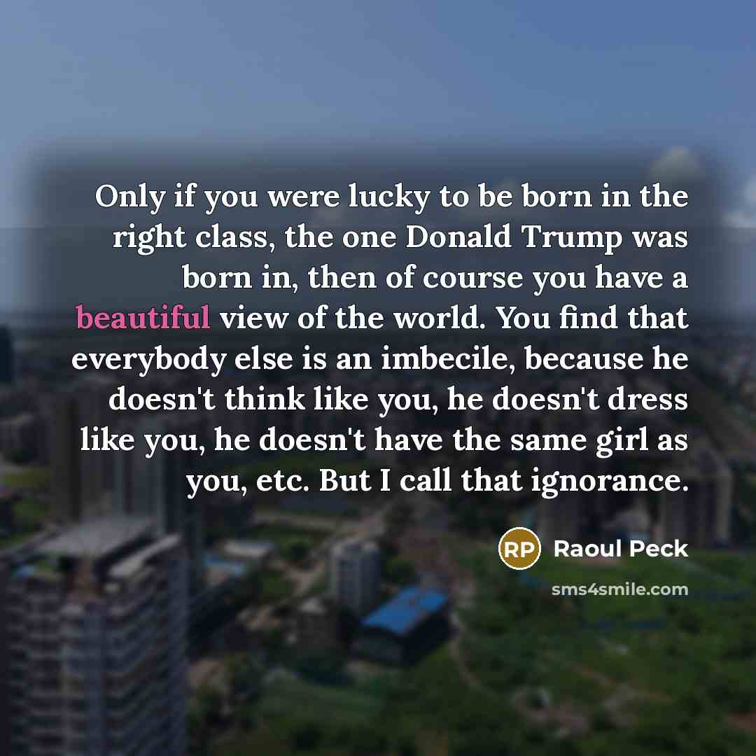 “Only if you were lucky to be born in the…” quote by Raoul Peck