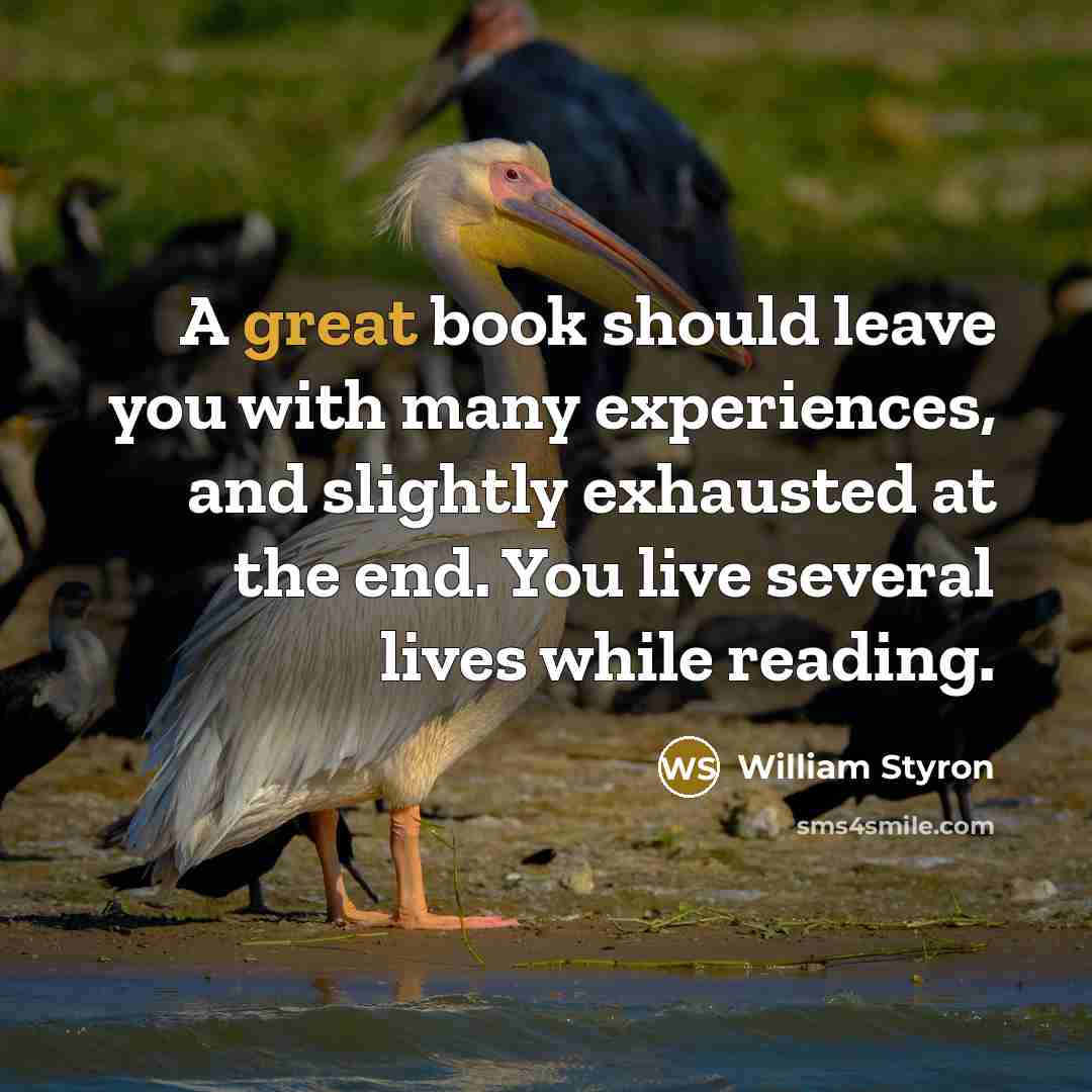 “A great book should leave you with many experiences, and…” quote by William Styron