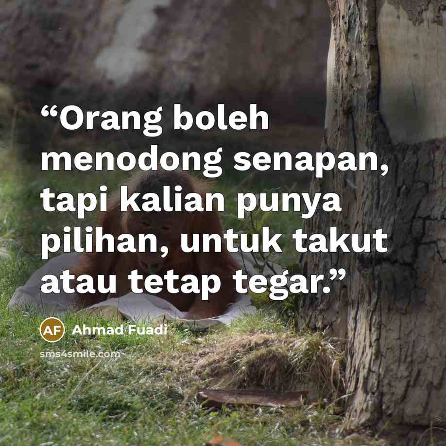 “Orang boleh menodong senapan, tapi kalian punya pilihan, untuk takut atau tetap tegar.” quote by Ahmad Fuadi