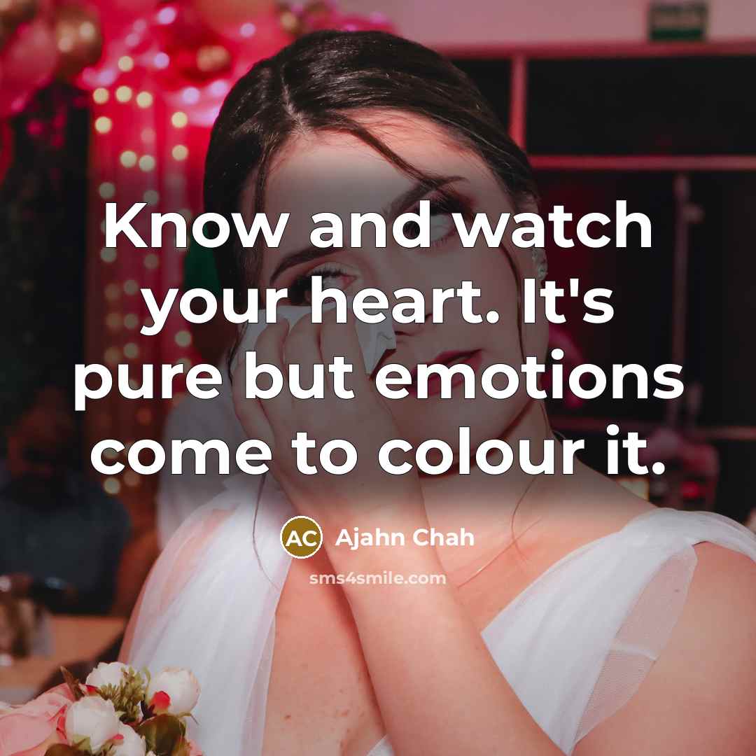 “Know and watch your heart. It's pure but emotions come…” quote by Ajahn Chah