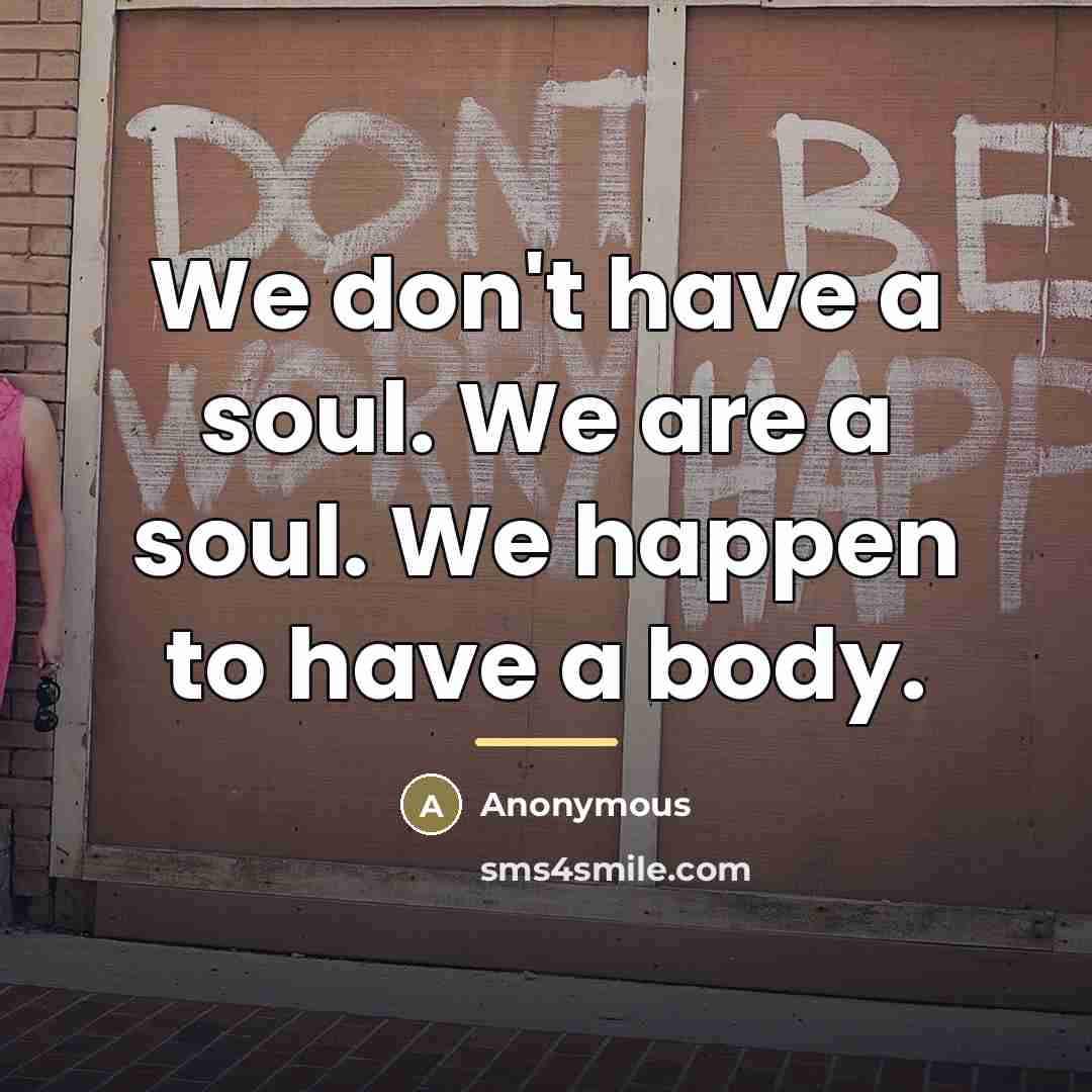 “We don't have a soul. We are a soul. We…” quote by Anonymous