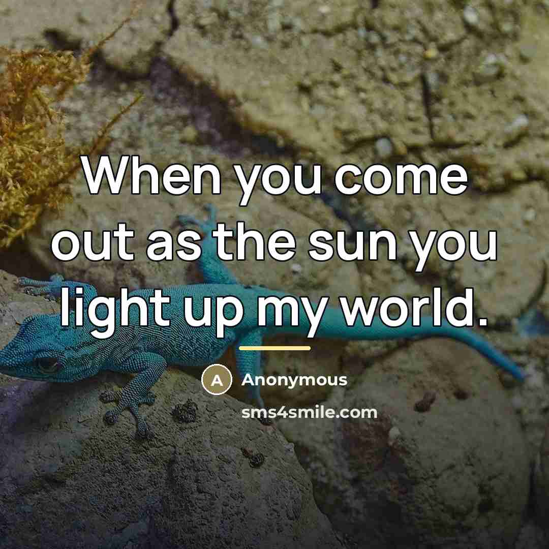 “When you come out as the sun you light up…” quote by Anonymous