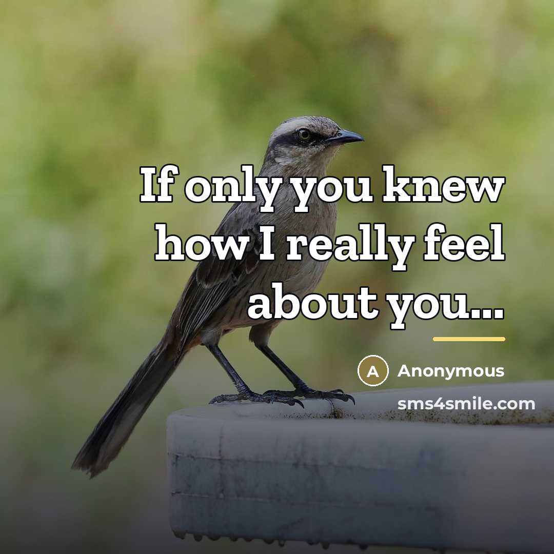 “If only you knew how I really feel about you...…” quote by Anonymous