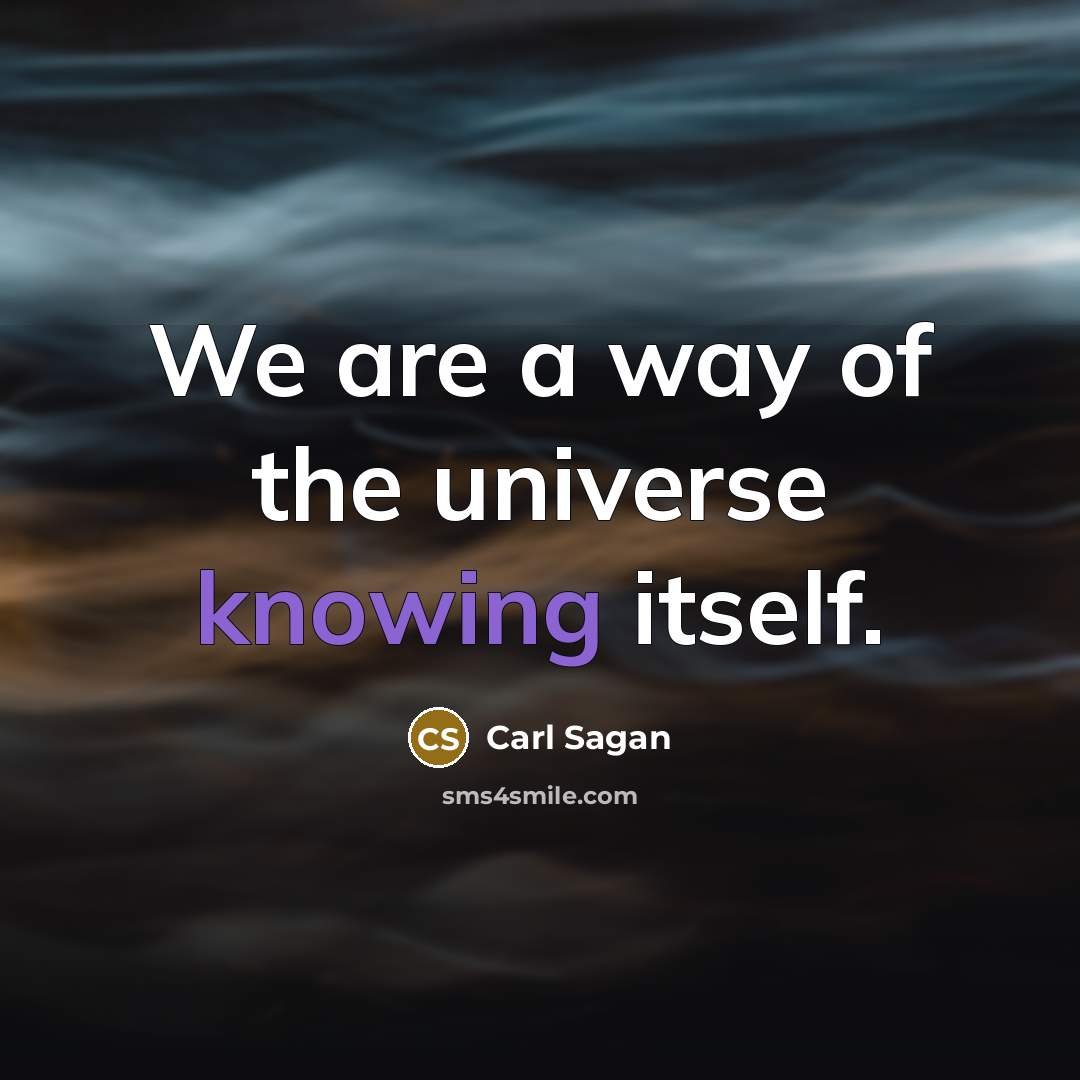 “We are a way of the universe knowing itself.…” quote by Carl Sagan