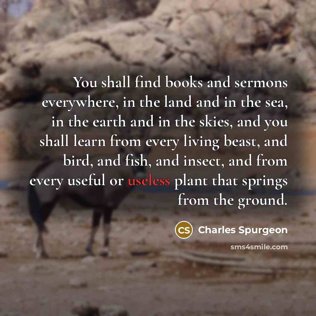 “You shall find books and sermons everywhere, in the land…” quote by Charles Spurgeon