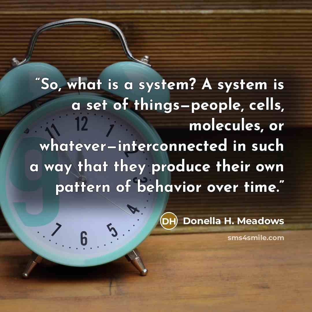 “So, what is a system? A system is a set of things—people, cells, molecules, or whatever—interconnected in such a way that they produce their own pattern of behavior over time.” quote by Donella H. Meadows