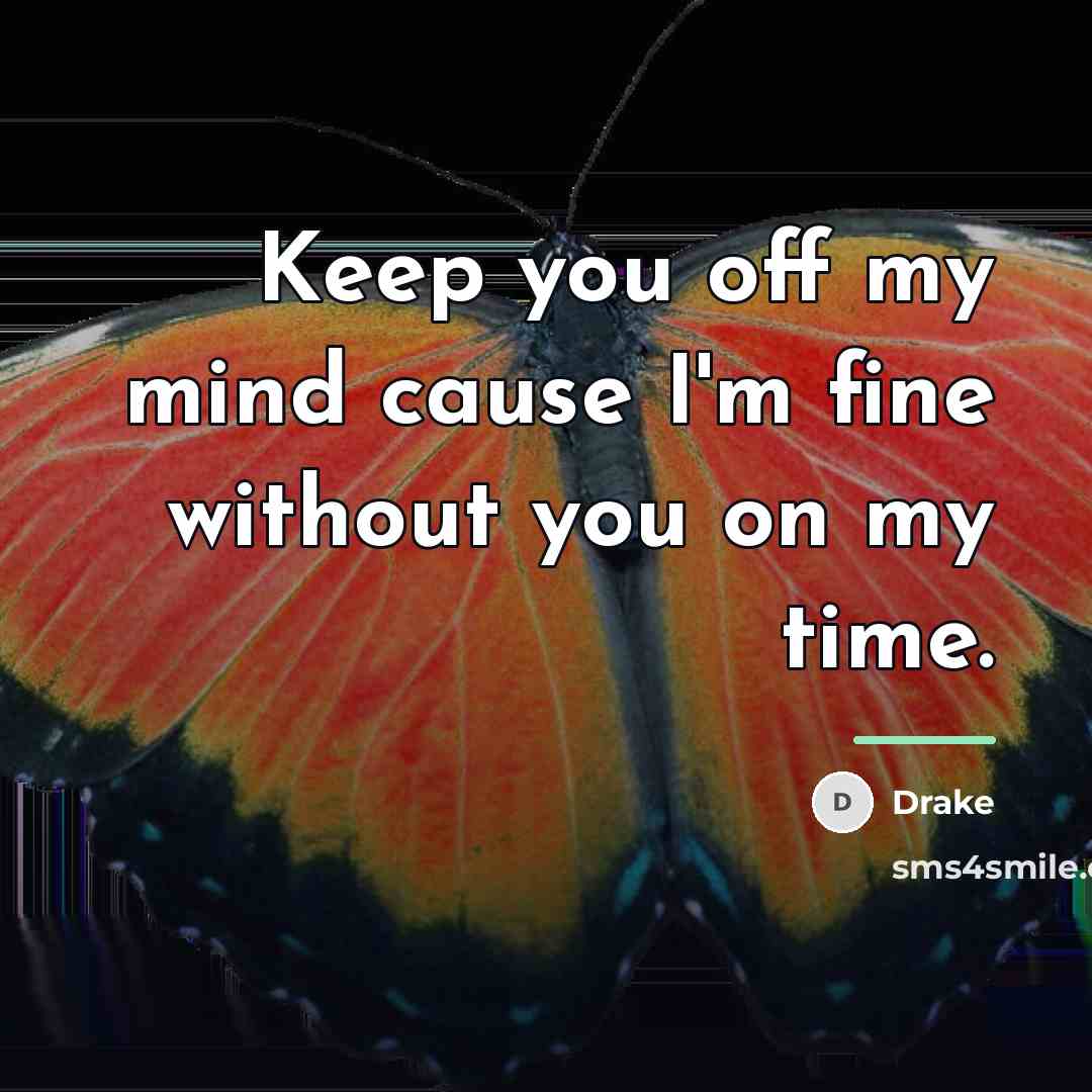 “Keep you off my mind cause I'm fine without you…” quote by Drake