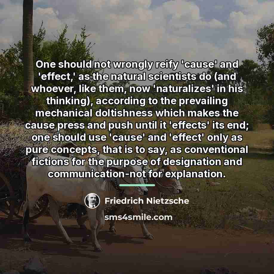 “One should not wrongly reify 'cause' and 'effect,' as the…” quote by Friedrich Nietzsche