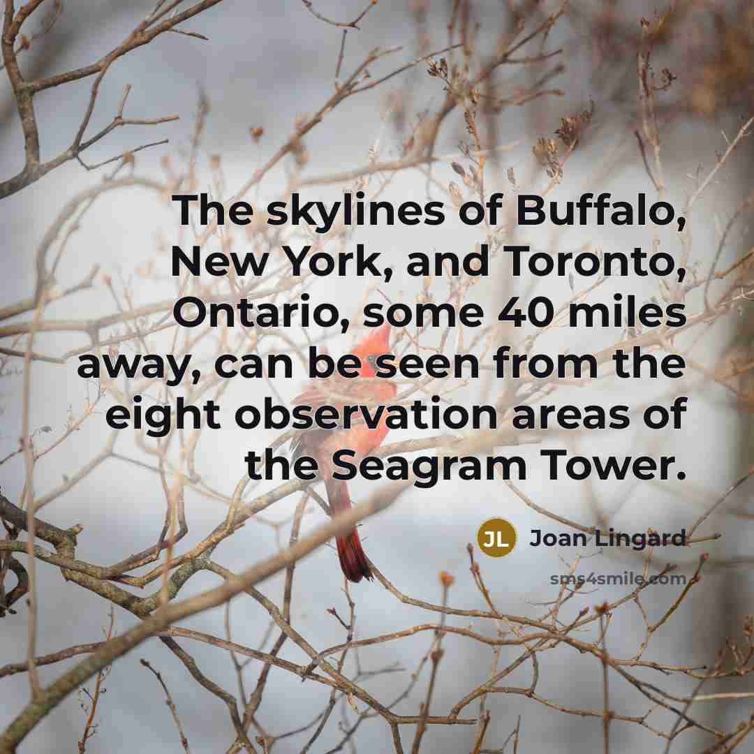“The skylines of Buffalo, New York, and Toronto, Ontario, some…” quote by Joan Lingard