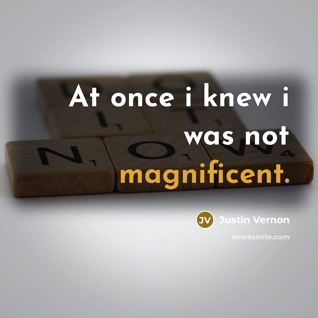 “At once i knew i was not magnificent.” quote by Justin Vernon