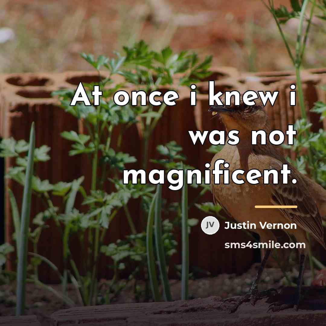 “At once i knew i was not magnificent.…” quote by Justin Vernon
