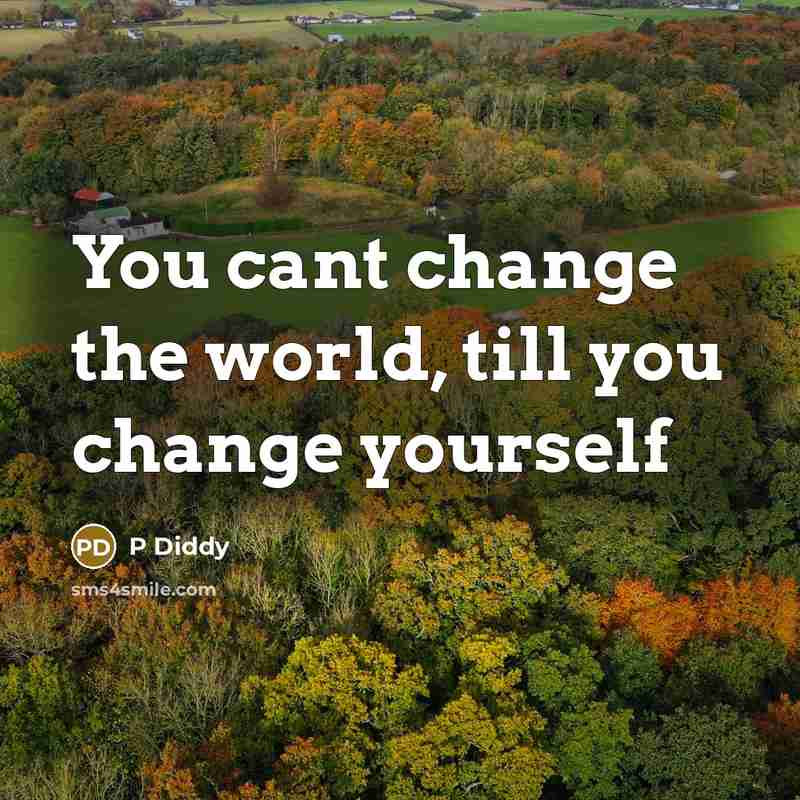 “You cant change the world, till you change yourself…” quote by P Diddy