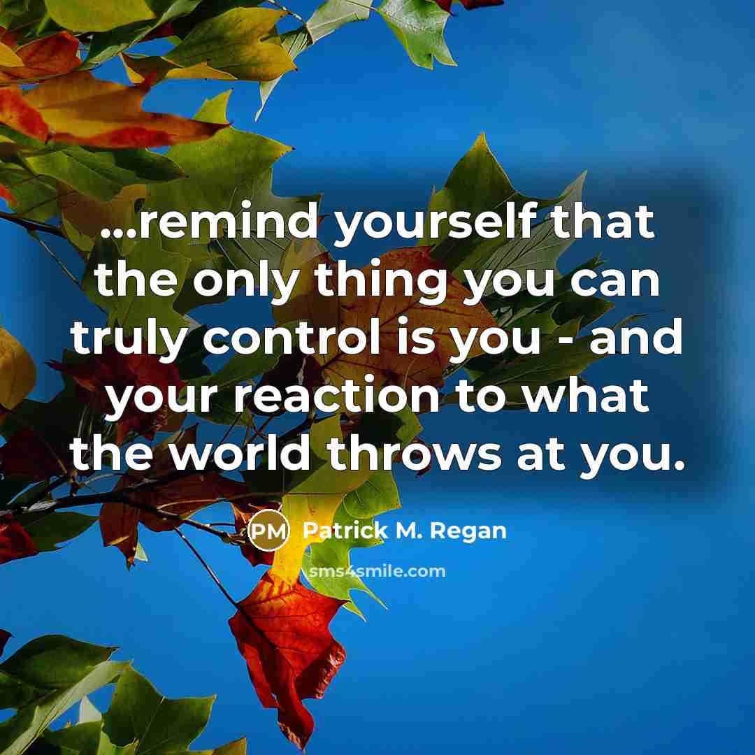 “...remind yourself that the only thing you can truly control is you - and your reaction to what the world throws at you.” quote by Patrick M. Regan